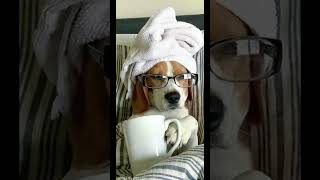 - Epic 5-Second Meme Video -