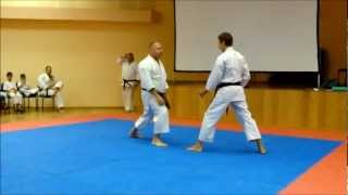 קראטה- הקשר להגנה עצמית. - Karate Clip- The relationship to self defense