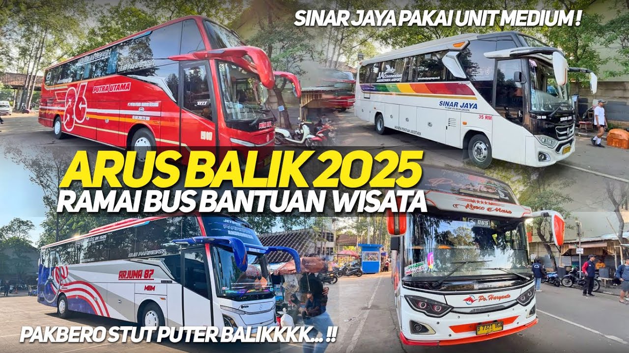 Backflow 2025: buses on late afternoon Backflow 2025: buses on late afternoon