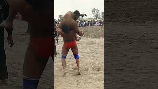 Tayyab Pehalwan Jhang Vs Awais Tayran Wala