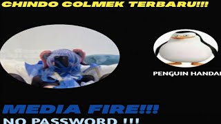 Viral Chindo Colmek Jun 2024