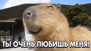 Ты Очень Любишь Меня