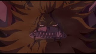 Cat Viper Vs Dogstorm One Piece English Dubbed