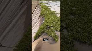 Represa Liberada Só Um Puxão E Tudo Mudou