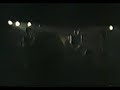 The Roosters-新型セドリック