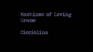Watch Machines Of Loving Grace Cicciolina video