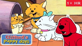 Work Together Full Episodes Cliffords Puppy Days Scholastic Clic