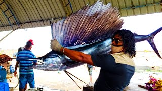 Cutting Indo-Pacific Sailfish | 30000 Rs Huge Fish
