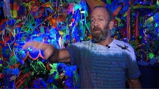 Kenny Scharf Exhibition The Nau County Museum Of Art