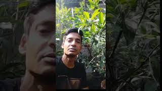 Thai Chiku Garden View Tips