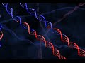 DNA Holliday Junction