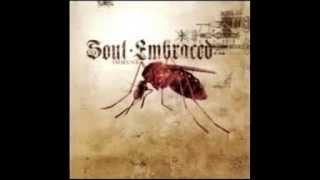 Watch Soul Embraced Seems Like Forever video