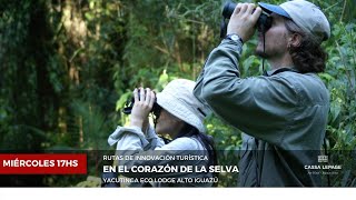 En el Corazón de la selva del Alto Iguazú. Yacutinga Eco Lodge.