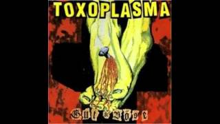 Watch Toxoplasma Krieg video