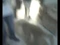 STORIA D'AMORE SMCV:Pako e un cane incapato a scopare!!!
