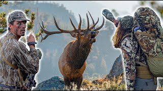 Colorado Backcountry Elk Hunting - We Found The Bulls