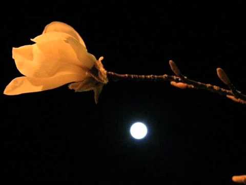 Tum Aur Fareb Khao Bayan E Raqeeb Se Farida Khanum Ustad Sabri...