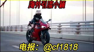 欧美币圈引流飞机 Cf1818 数字货币 币圈加密货币每天上千人炒群