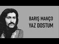 Barış Manço - Yaz Dostum (lyrics)