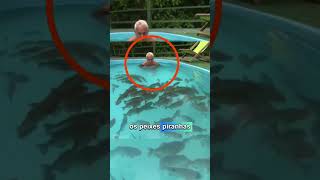 Ele Entrou Em Uma Piscina Com Piranhas
