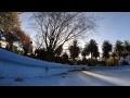Palmerston North