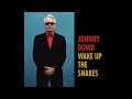 HOWLING WOLF BLUES - Johnny Dowd from "Wake up the snakes" (2010)