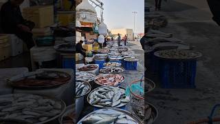 കറഞഞ വലകക മൻ വണ Biggest Fish Market