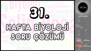 31. Hafta Biyoloji Soru Çözümü