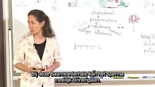 Hormonale Disbalans - Barbara O’Neil