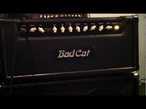 Bad Cat Cougar 50 Watt Guitar Amp Head 2 of 3
