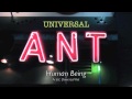 Universal Ant- Human Being
