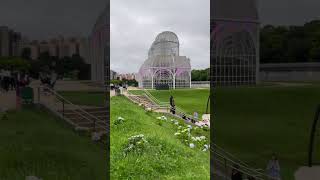 Um Jardim De Hortênsias Dentro Do Jardim Botânico De Curitiba.