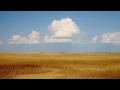 Aaron Copland: 4 Dance Episodes from "Rodeo" - I. Buckaroo Holiday