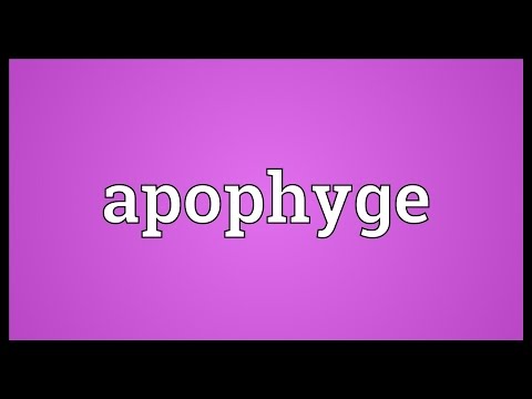 Header of apophyge