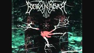 Watch Borknagar The Black Canvas video