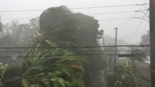 Watch Rain In Sheets video