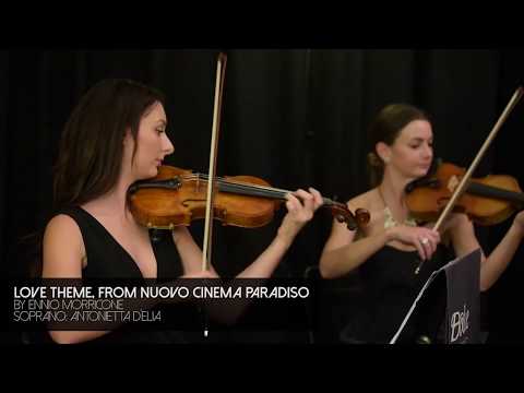 Love Theme, E. Morricone - Antonietta D'Elia and Dolce Ensembles