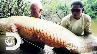 Jeremy Catches A Monstrous 250lb Arapaima On A Fly Rod | River Monsters
