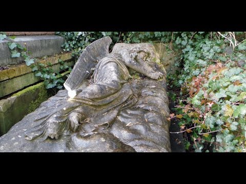 The Highgate Vampire