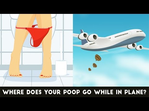 What Happens To Your Poop In An Airplane Toilet