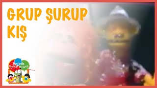 Grup Şurup Kış Benimle Oynar Mısın?