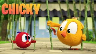 Where's Chicky? Funny Chicky 2023 | COMPILATION | Cartoon in English for Kids | 