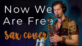 Now We Are Free Sax Cover By Ilia Logos