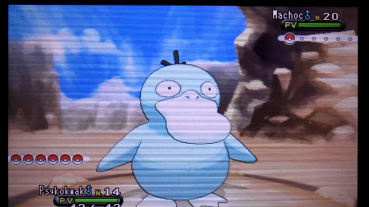 Xy rencontre