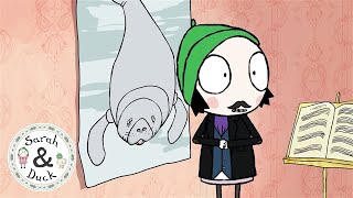 Seacows - Wide-Eyed Compilations - Sarah And Duck