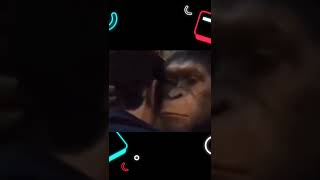 Sigaraya Zam Gelmiş Komik