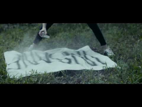 Insane Video
