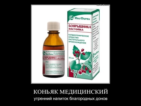 Как сделать настойку боярышника в домашних Как сделать настойку боярышника в домашних