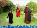 El Sol - Llamado al Cielo www.Himnoscelestiales.pe.nu