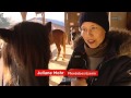 Salzburg Heute: Steuer für Pferde